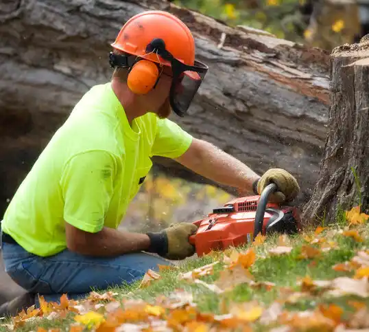 tree services Roslyn